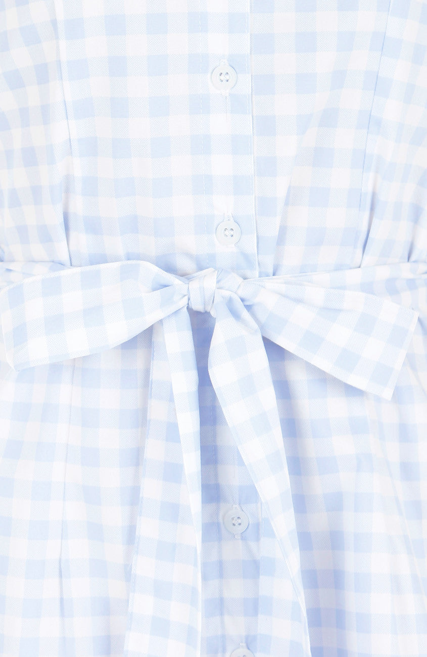 Mod Summer Gingham A-Line Button Down Dress - Alice Blue