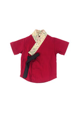 BOYS Royal Spring Hanbok